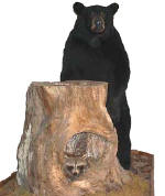 Mounted lifesize Black Bear